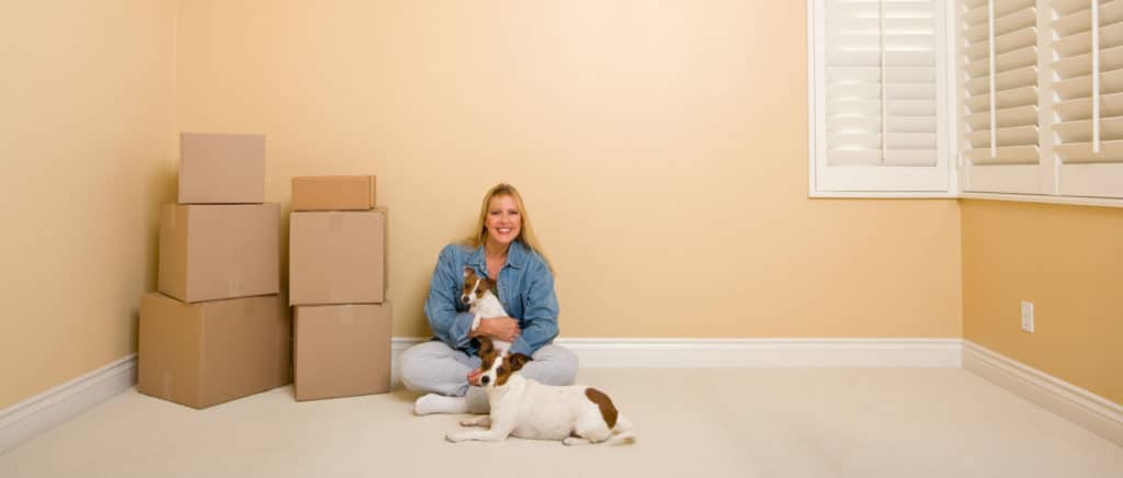Tips for Moving House With Pets — The Packing & Moving Company in Tanah Merah, QLD